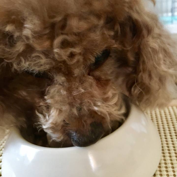 9c5c10f6 e799 4759 9de0 fb2ea0433a9e