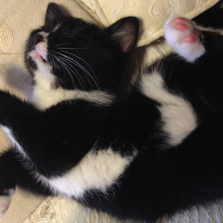 9c5c12b4 2897 48bb a60f 76e13925c260