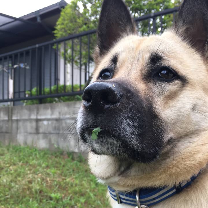 9c5c5831 2136 48ed 87c3 a21a72af6ec3