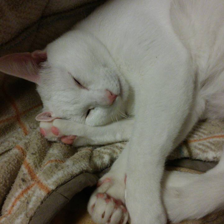 9c5c759e 61b8 4a52 ad7c cb791cc0beab