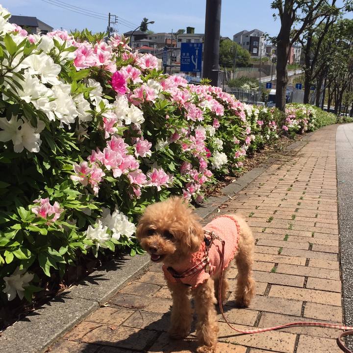 9c5cb83c 0b72 4fe5 b74f 5efe38ba46ec