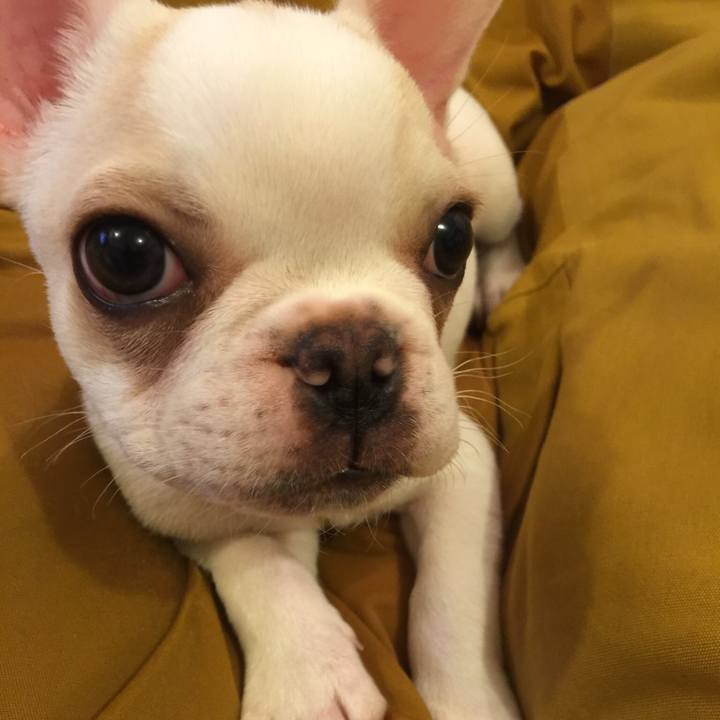 9c5cd5fc 859c 4de2 a1aa 18f2da71c428