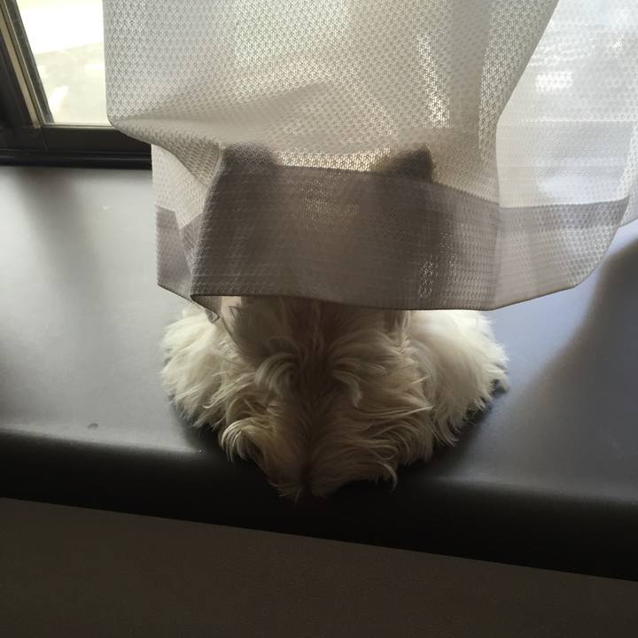 9c5d19f9 e59c 4f4e b389 08ee30fa808d