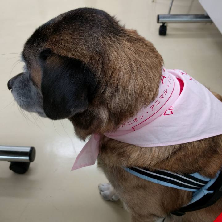 9c5e1739 5643 4d39 8a48 748f11420861