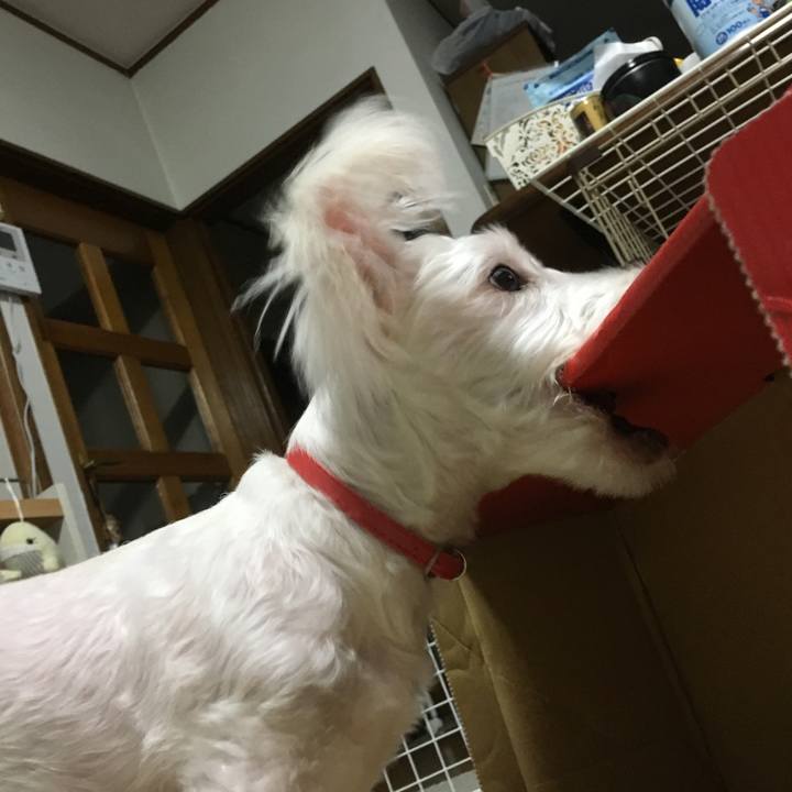 9c5fa70a 9ce1 4760 9b15 6fc37ba6f682