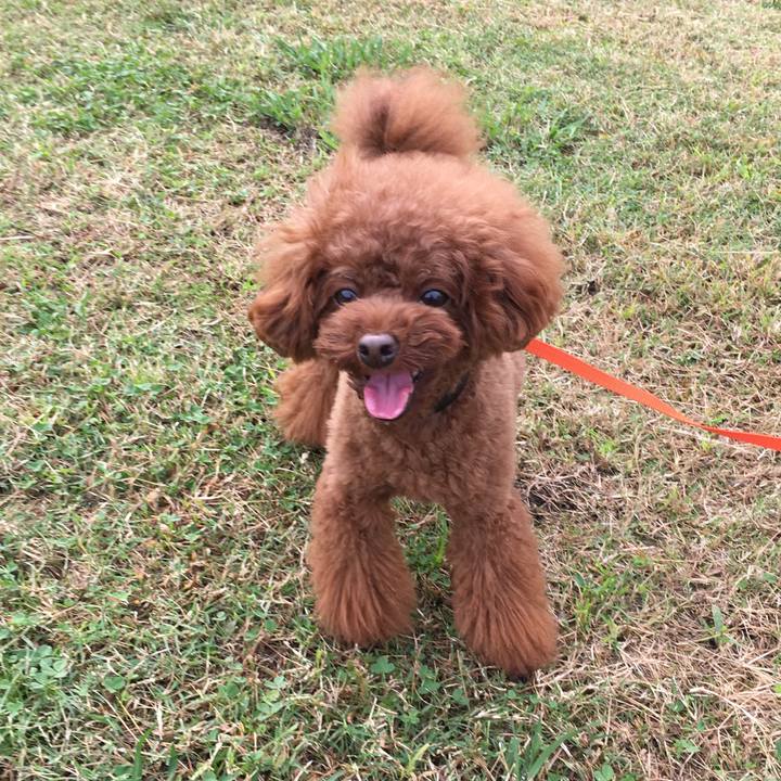 9c5fb547 f89a 46c7 8d1f e0f249f2bc17