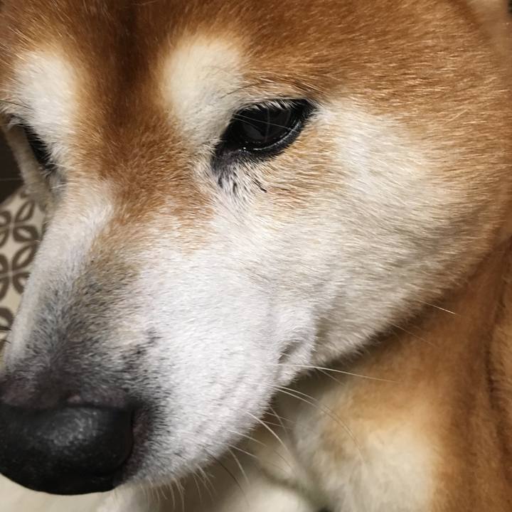 9c5ff432 f07e 4b84 b4fb c410761c07cd