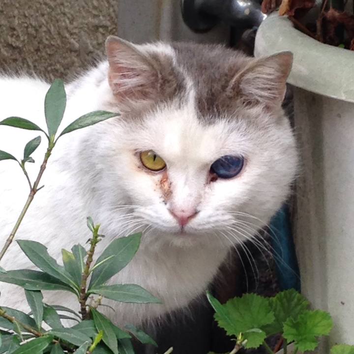 9c5ff54a 2385 4d14 b07d 87126b075e40