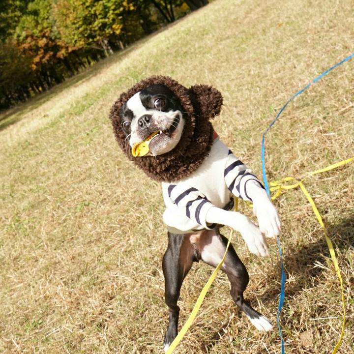 9c607508 83f0 437d 9de4 c4a99181f5e1