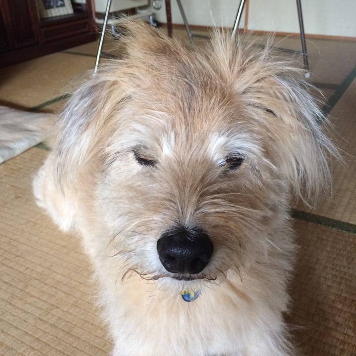 9c610a1e 15c0 4ad9 bb0a 9d0e7a62735c