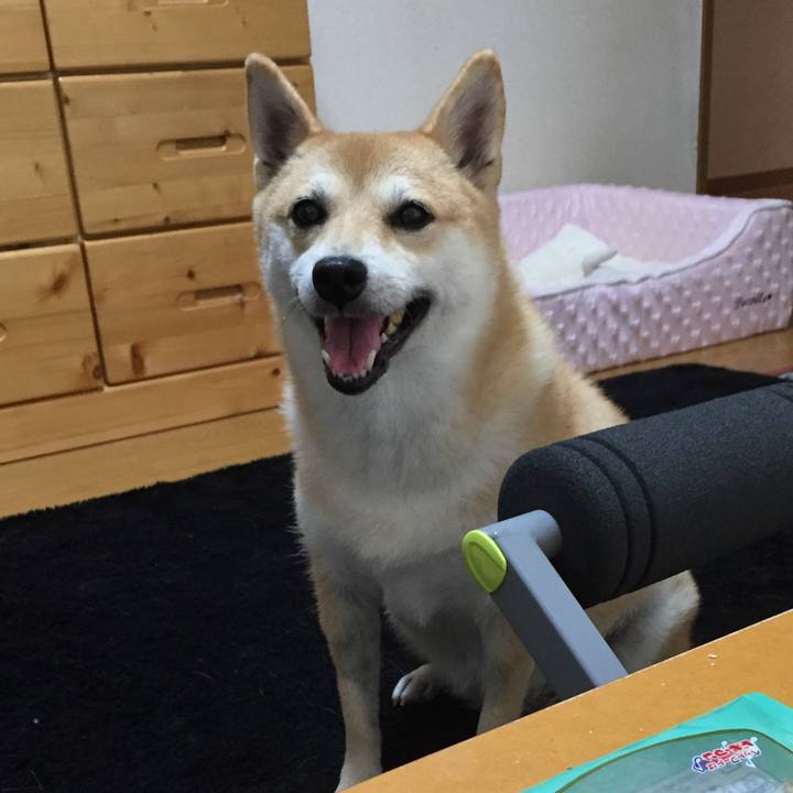 9c615d48 b001 4cdf a3d6 4c0481b8e443