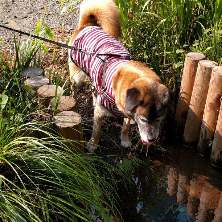 9c619105 ded6 442b 8ba4 ce80ae0402bd