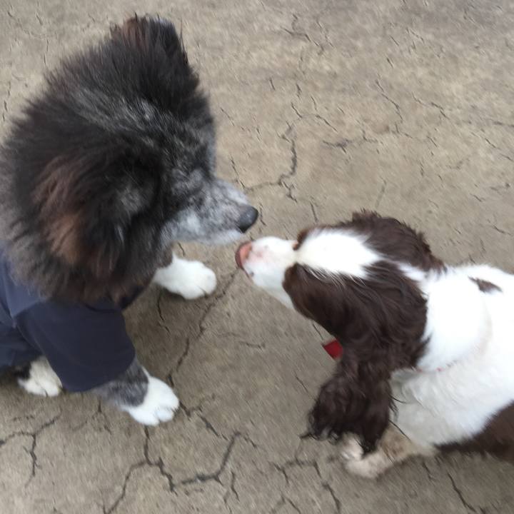 9c620f44 58a0 425b 963b a265ea008309