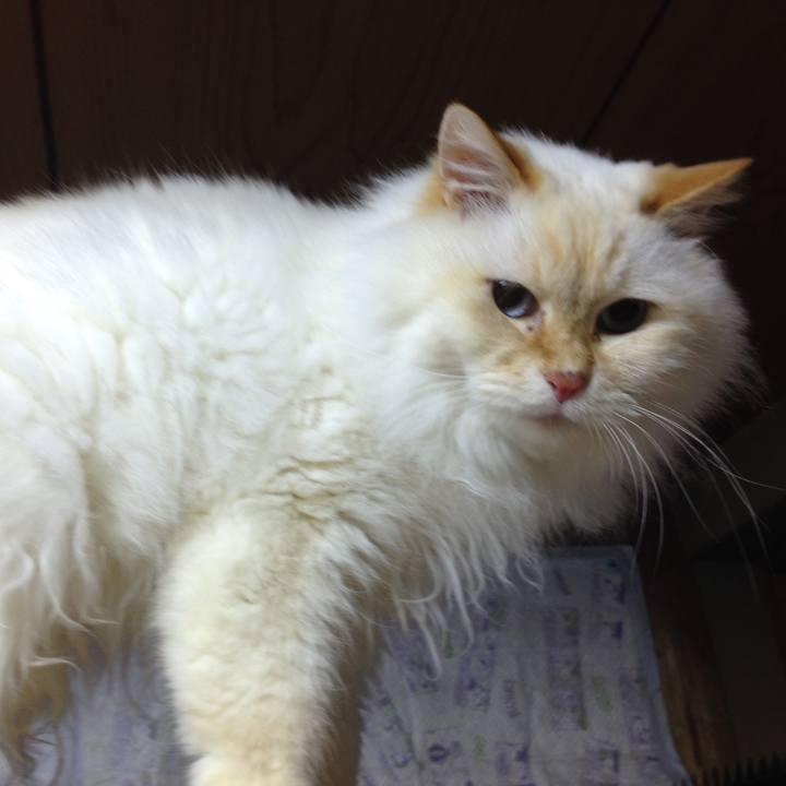 9c62692e 3a5c 4293 8132 496885022e6a