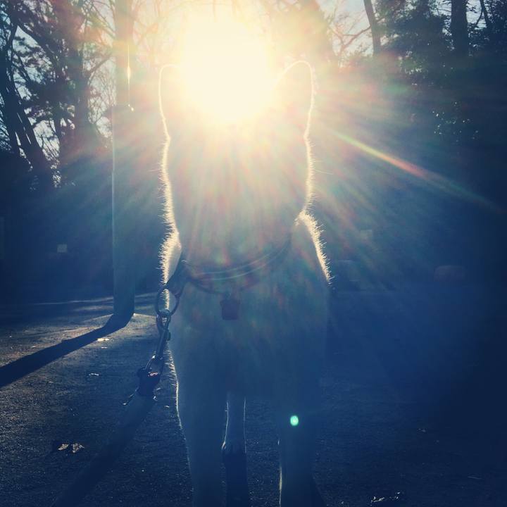 9c636517 b630 4f71 9ca0 7437e96a7f0f