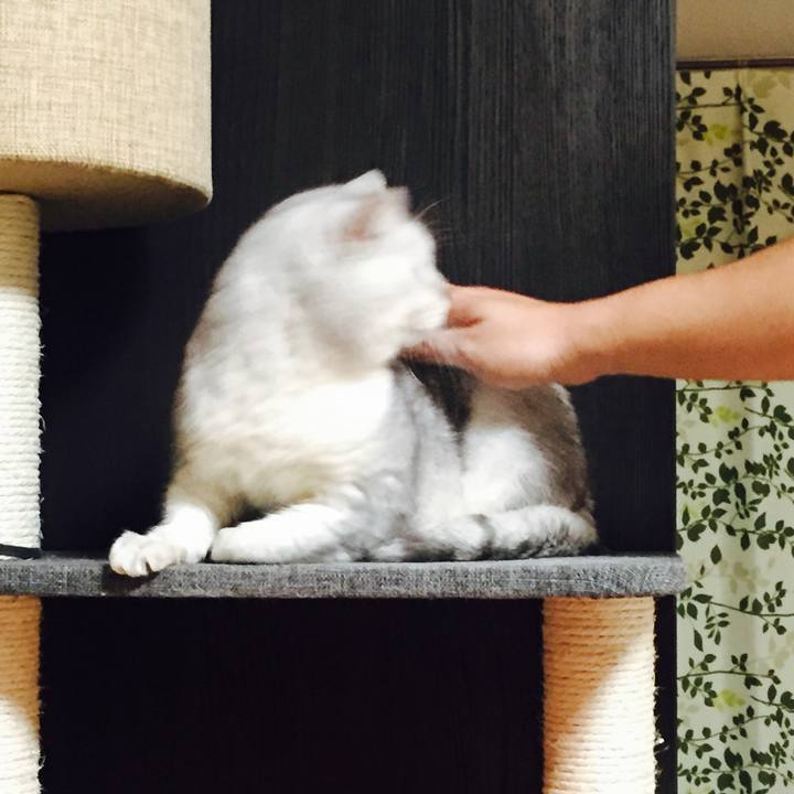 9c63e85f d0bc 4458 aaca 174b86041ff8