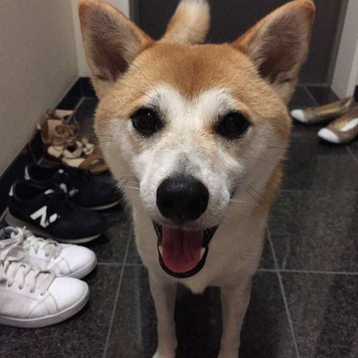 9c644f7e 61d2 496f 9a52 e7f04e912868