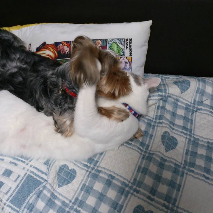 9c645877 adfc 4541 8be2 c8d08feadb98