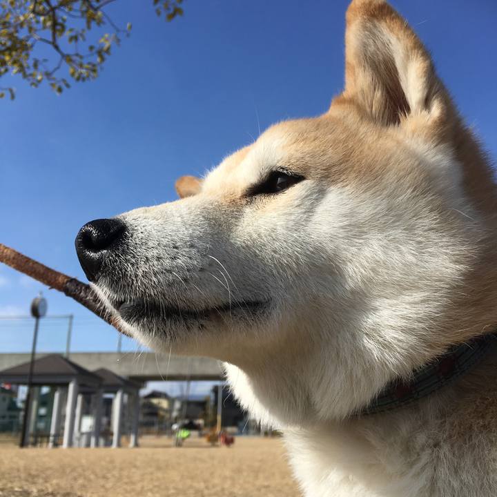 9c65f0e1 2ded 4dfc 8116 c84e471541b3