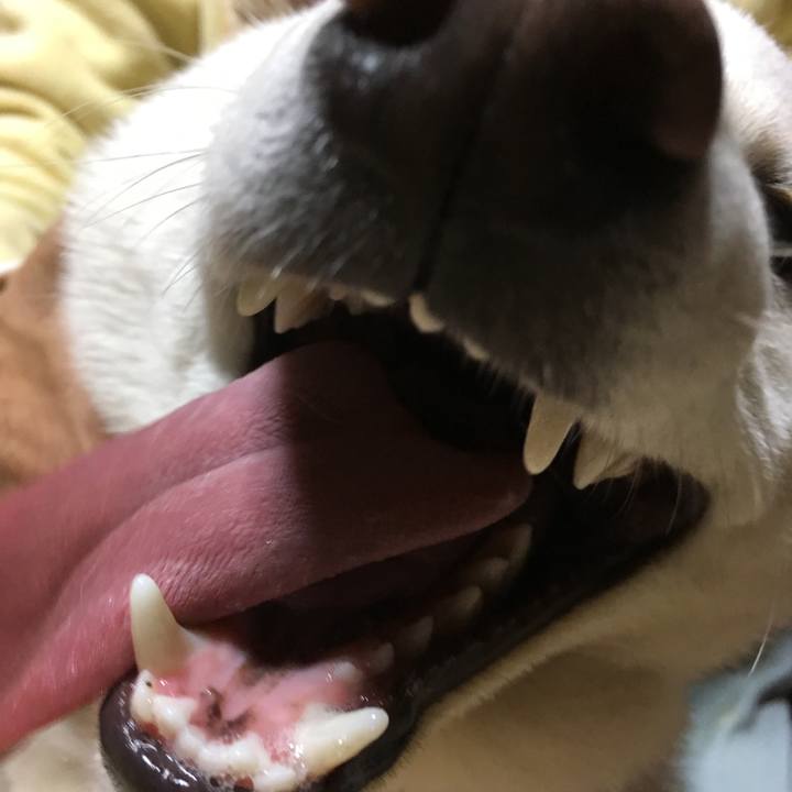 9c6644bf 22e3 4ec7 b977 390ab8d24c5b