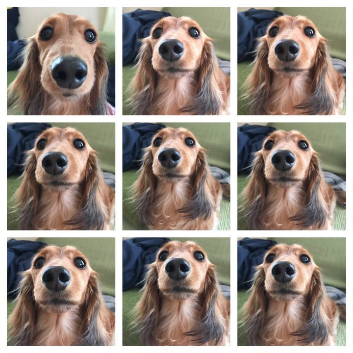 9c666f80 c057 4dcc 92aa 7999b670b395