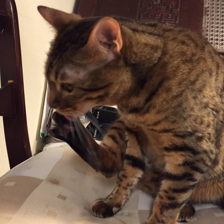 9c66de3e 05ca 4742 98f7 32019990145d