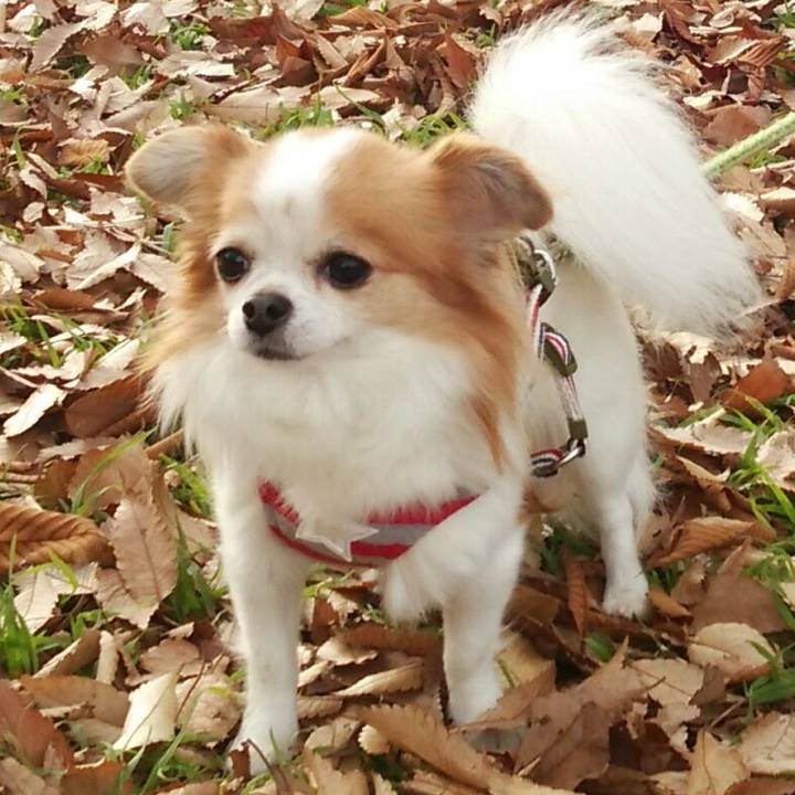 9c679213 a6b0 4001 b015 9ac5fd73c7c0