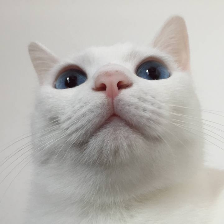 9c6802cd 2b05 4a60 bc0c 4bc5bf552742