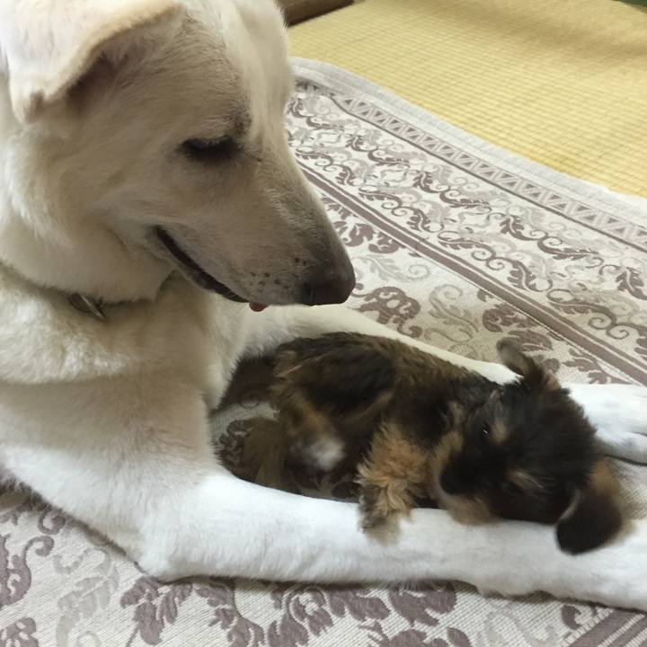 9c68929c 60cc 4ce3 a948 01598f8d838d