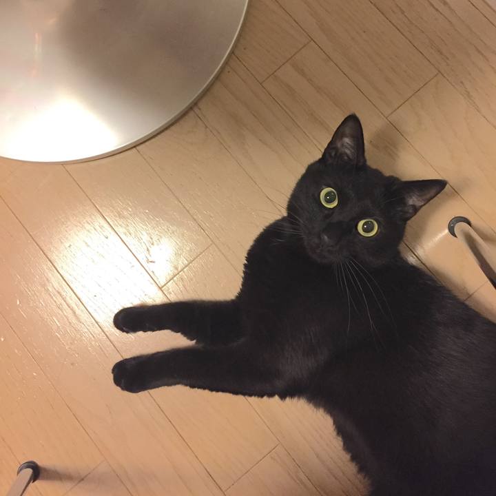 9c68d115 db23 475f b97c 17a87dce62ce