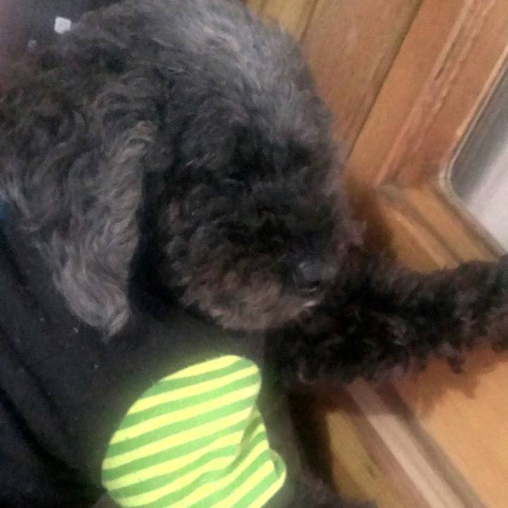 9c697248 1b75 4ac6 bcf6 6cd184f193ea