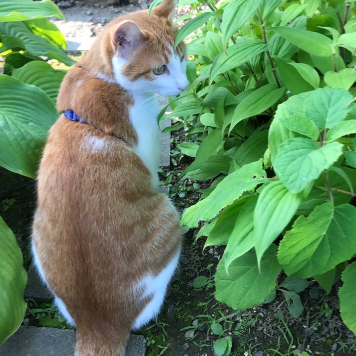 9c69fb5c ac72 417f bca0 0a0f9c7b32b1