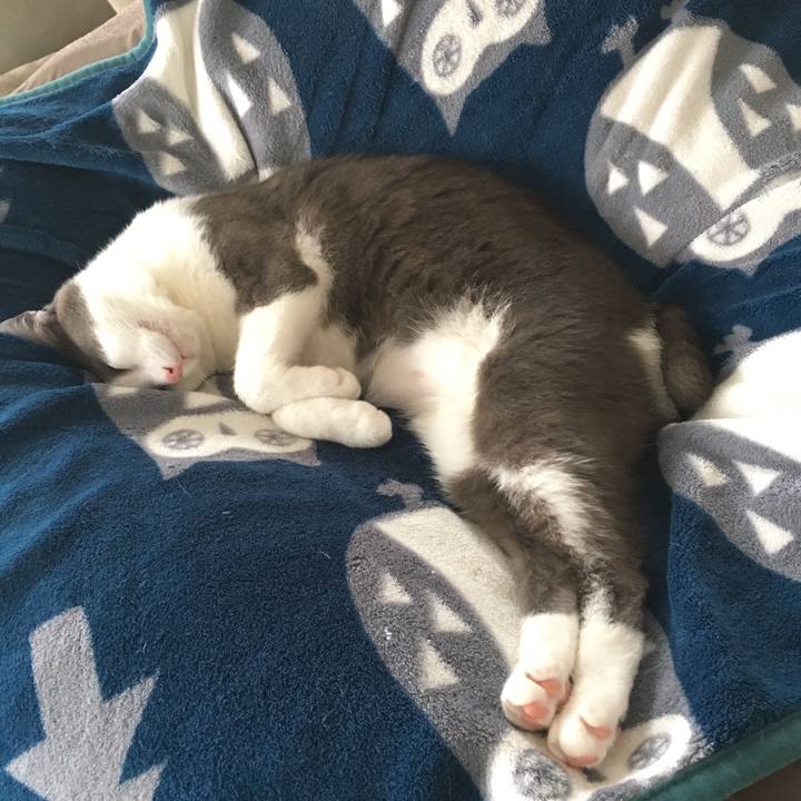 9c6a55bf b957 4900 9237 a647f3aba1bd