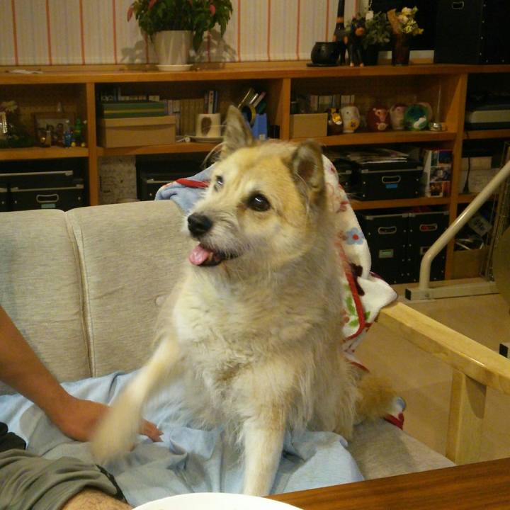 9c6b5a86 9402 4afe ae61 b443511f300d