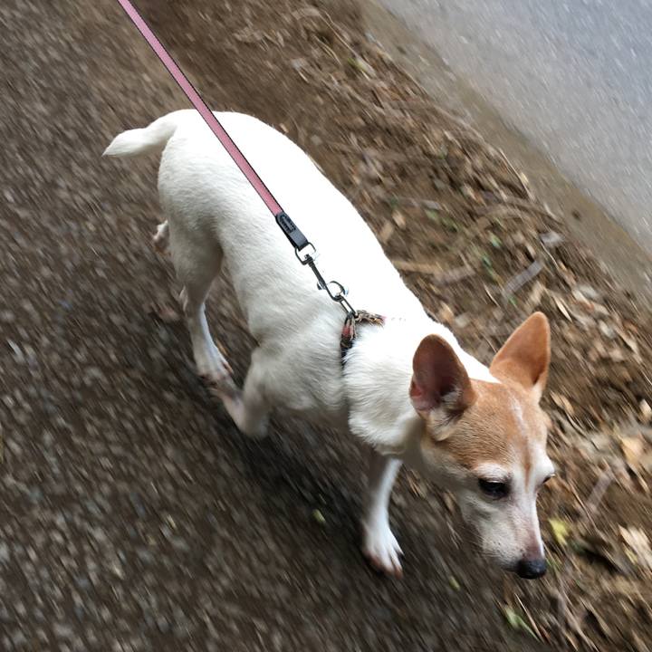 9c6b7b10 33fd 4db3 8bf1 88a2352925f4