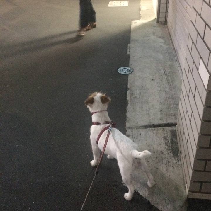 9c6b830d 61b5 465c 9c35 fec4400a54fd