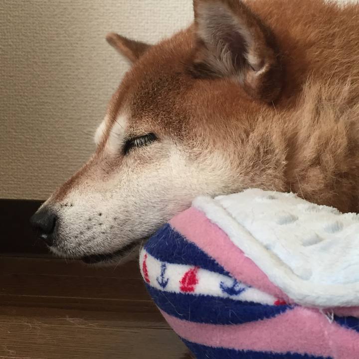 9c6ba1a9 b8c9 4b08 ade6 f05e21df558d