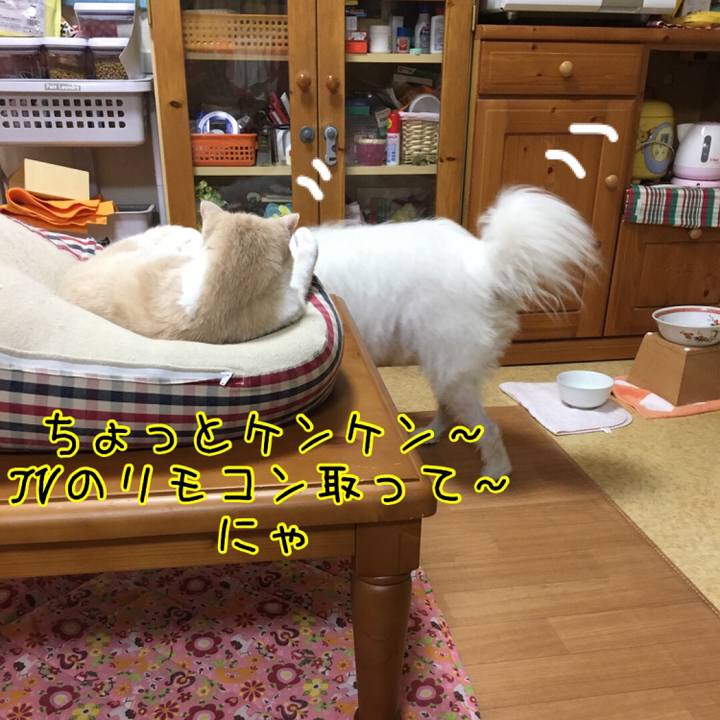 9c6bacf3 7bde 48ac 8add 91a997665918