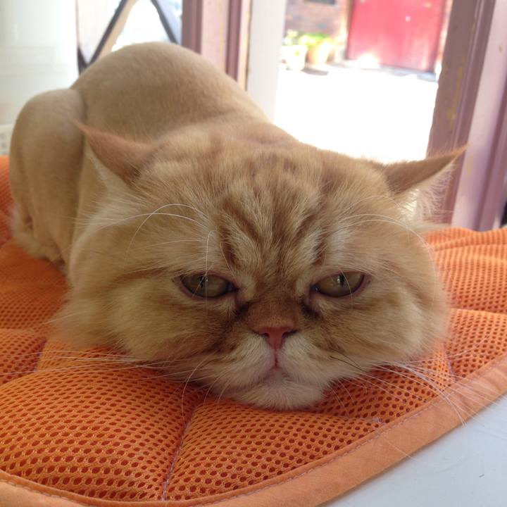 9c6bbc68 677f 456f 9a99 b253a3cf1d77