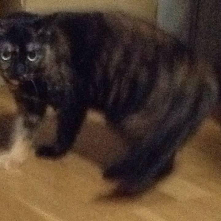 9c6c0749 61a0 4aef 9bcc e22650284621