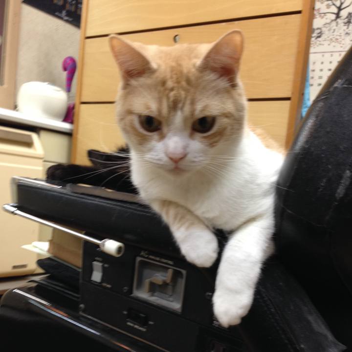 9c6c34eb 66c4 4b1e acf2 38b6f78a00bc