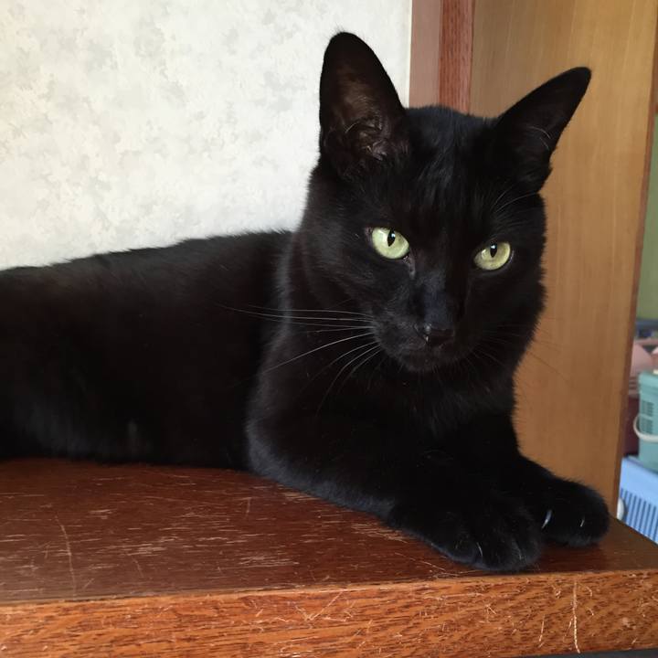 9c6c5ff8 8153 45ab 8464 639733db1edc