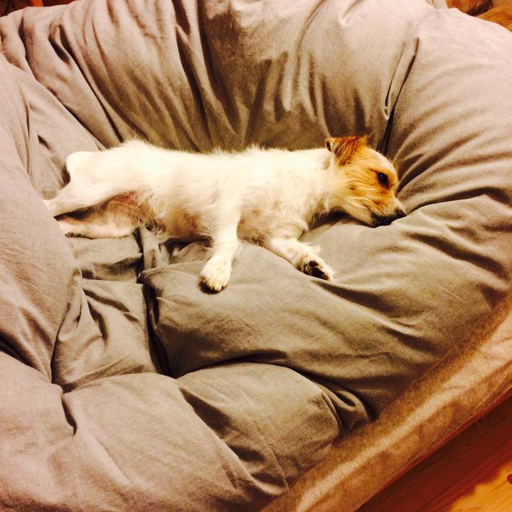 9c6c90f0 73cd 4884 a5f1 a915512462da