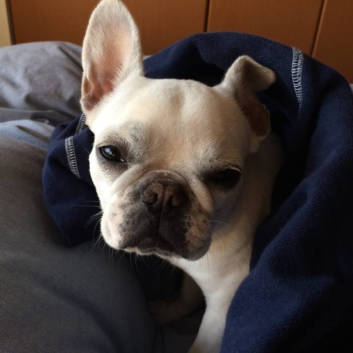 9c6cc4cf bf26 45de 87be 8ee8fd50ed72