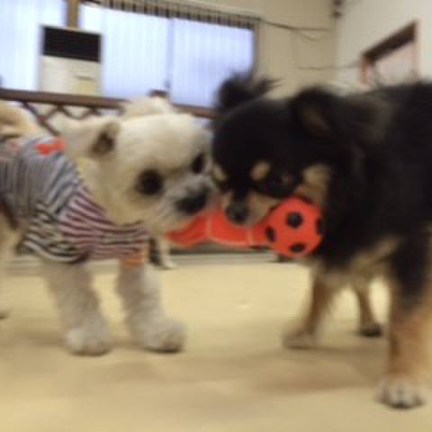 9c6cd47e fa96 4344 8ef5 402731f2702d