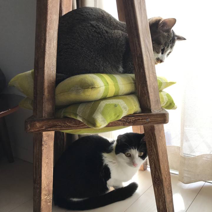 9c6d1a36 5178 4ec7 bf3e c111808b1b43