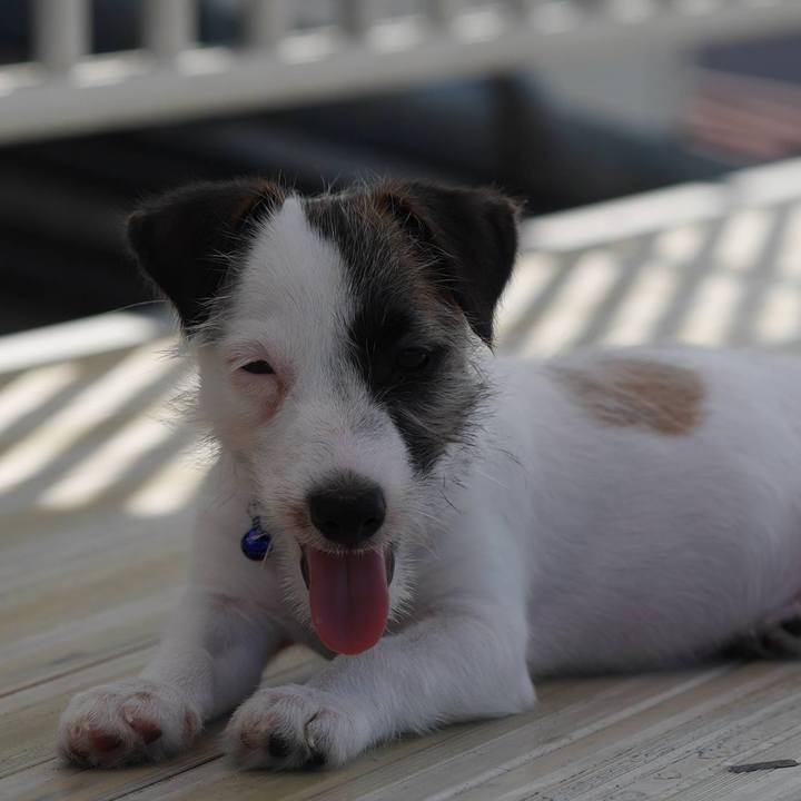 9c6d2dd0 3cf1 414a 81f4 163edc5ce81d