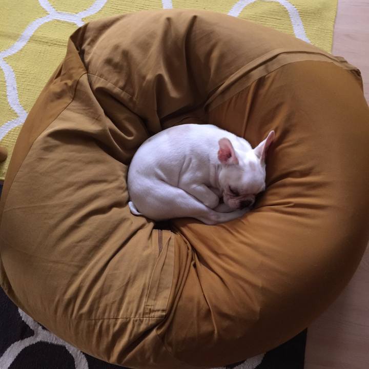 9c6d338b d397 488b b808 d5112ee798e7