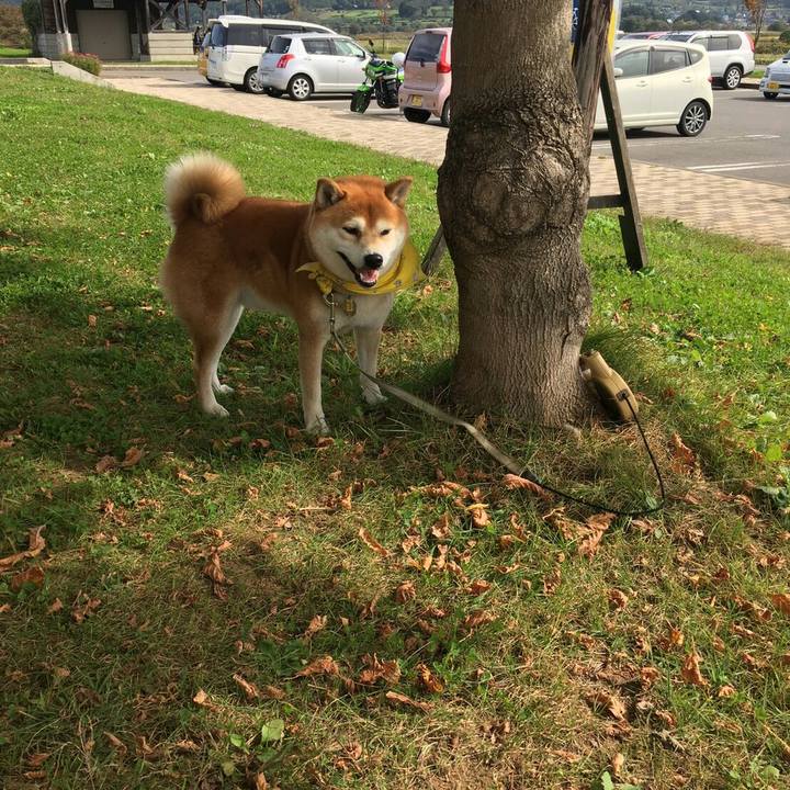 9c6d9e68 b6c9 415a a77f da79bd23a224