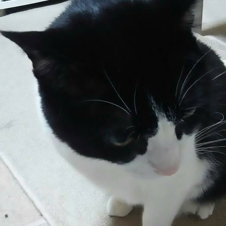 9c6e30a8 5b21 45c9 89d9 a1e94872a0ad